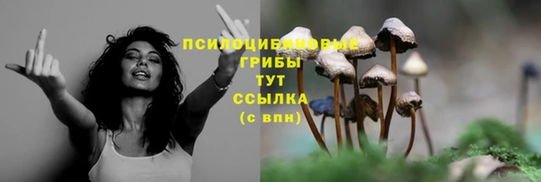 PSILOCYBIN Армянск