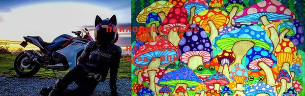 PSILOCYBIN Армянск