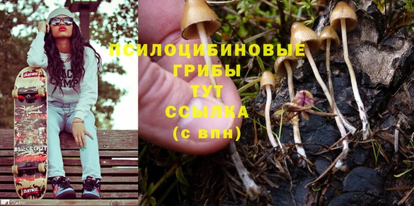 бутират Няндома