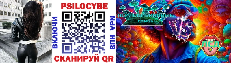 kraken онион  Певек  Галлюциногенные грибы Psilocybe 